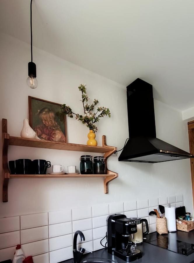 Vintage Anna Apartment Kuldīga Extérieur photo